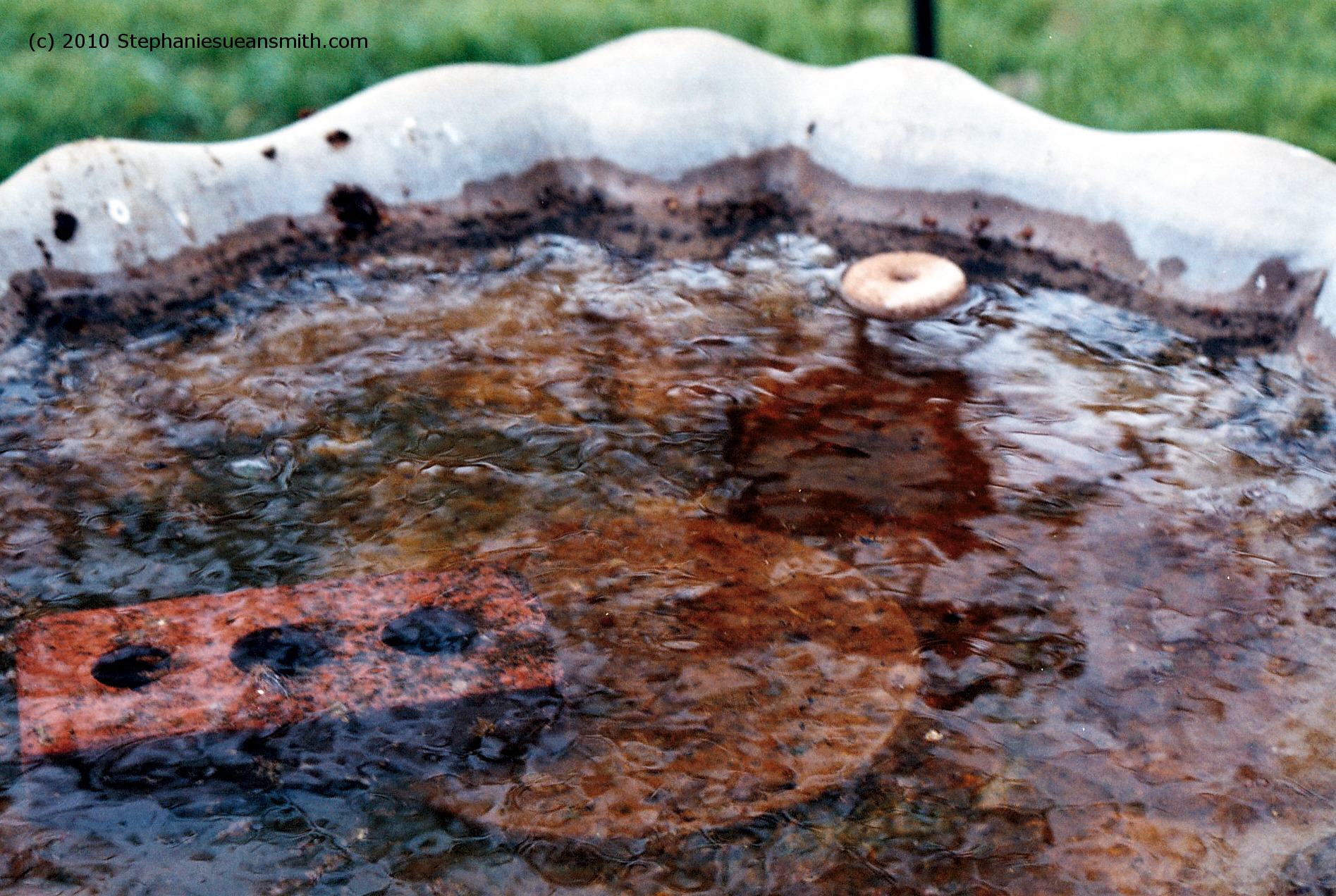 Bird Bath Maintenance Information Central